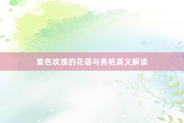 紫色玫瑰的花语与美艳真义解读