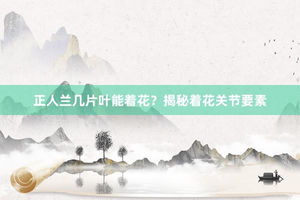 正人兰几片叶能着花？揭秘着花关节要素