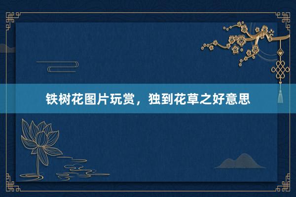铁树花图片玩赏，独到花草之好意思