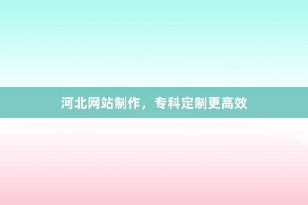 河北网站制作，专科定制更高效