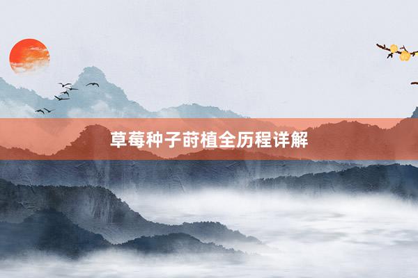 草莓种子莳植全历程详解