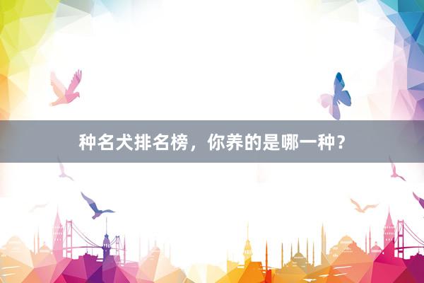 种名犬排名榜,你养的是哪一种?