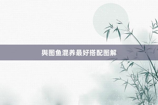 舆图鱼混养最好搭配图解