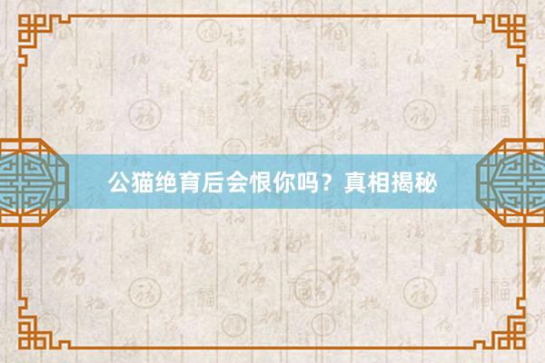 公猫绝育后会恨你吗？真相揭秘