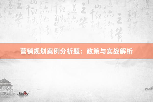 营销规划案例分析题：政策与实战解析